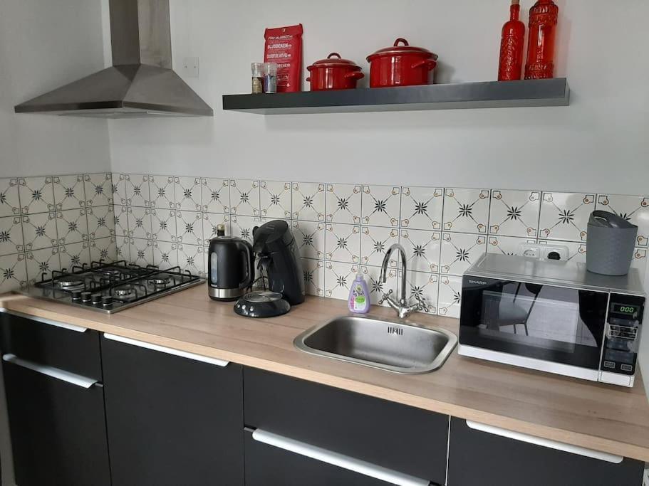 Vrijstaande Recreatievilla Met Ruime Omheinde Tuin Posterholt エクステリア 写真