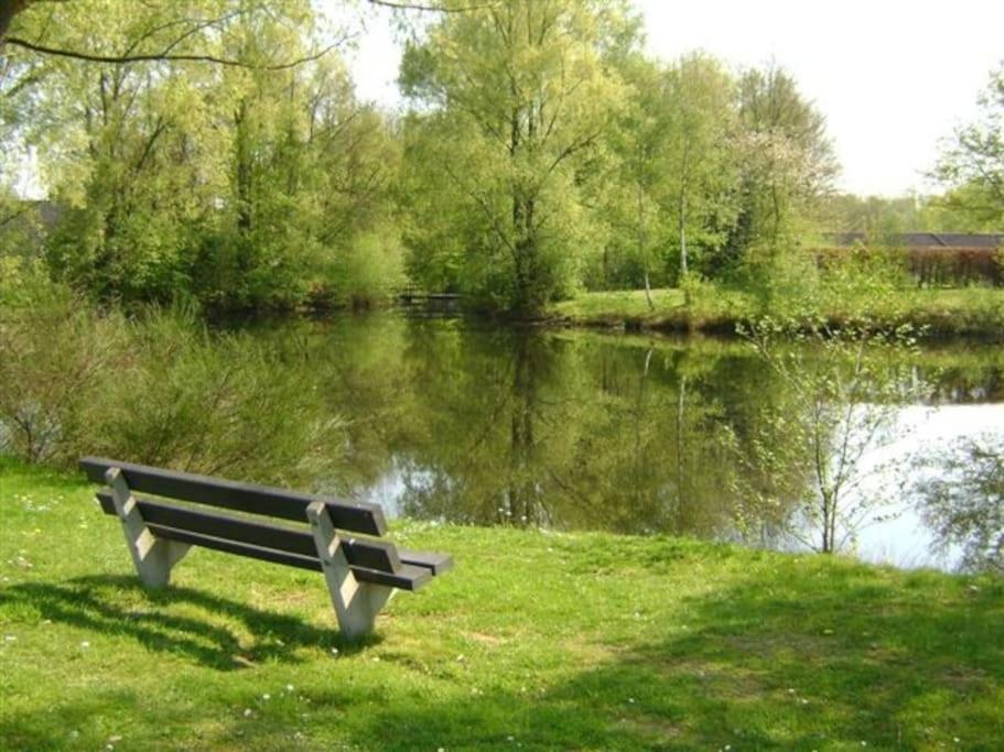Vrijstaande Recreatievilla Met Ruime Omheinde Tuin Posterholt エクステリア 写真